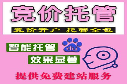 百度SEO推广公司案例汇编：实战技巧全解析